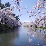 Dive into Festivities: An Epic Guide to Golden Week Events in Japan