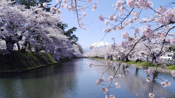 Dive into Festivities: An Epic Guide to Golden Week Events in Japan