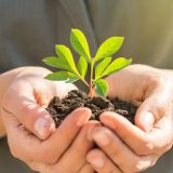 Sustainable Living in Japan: Easy Tips for an Eco-Friendly Lifestyle