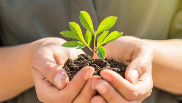 Sustainable Living in Japan: Easy Tips for an Eco-Friendly Lifestyle