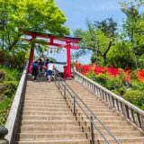 Trade City Scapes for Mountain Vistas: Easy Hiking in Japan This Spring!