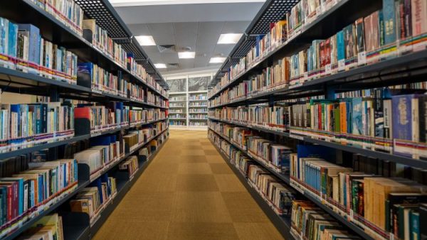 Discover Your Local Library: More Than Just Books in Japan!