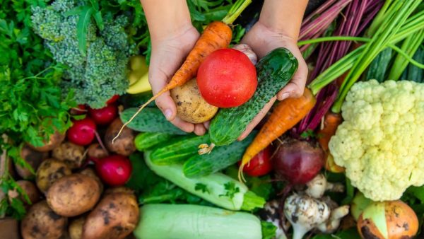 Digging In: A Guide to Share Batake for Foreigners in Japan