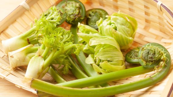 Spring Flavors: Discover Japan’s Seasonal Ingredients in March & April