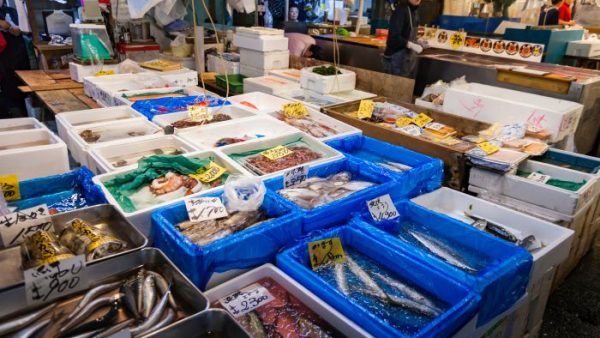 Tokyo’s Lively Markets: A Foodie’s Paradise and Cultural Experience