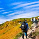 Japanese Hiking Trails: A World of Unique Surprises!