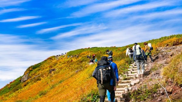 Japanese Hiking Trails: A World of Unique Surprises!